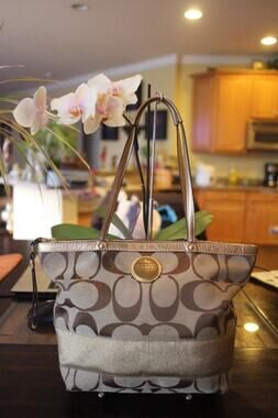 Coach F15112 Signature C Stripe Tote Bag (100